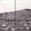 수원-1977 이미지