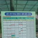 정선공영버스터미널 내 이미지