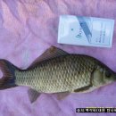 양촌소류지 이미지