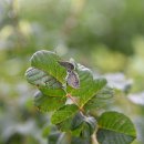 하루산책 이미지