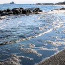 서쪽사계 이미지