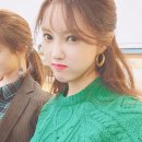 효민Q