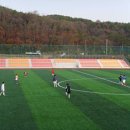 비봉인공습지 축구장 이미지