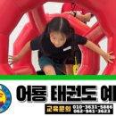 어룡태권도 이미지