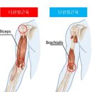기능동작아카데미 이미지