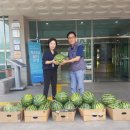 구리청과(주) 네이버블로그