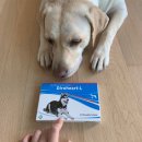 안중온누리약국 이미지