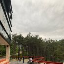 레드브릿지 이미지