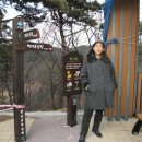 백야리산림욕장 이미지