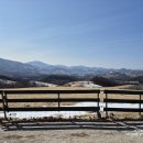 산들목장 | 다음카페매일산악회 여자 혼자 선자령 다녀온 후기