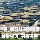 봉정사국화마을 이미지