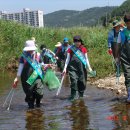 2013년 8차 환경사랑 척과지천 유해식물제거 및 환경 대청결운동 결과 이미지