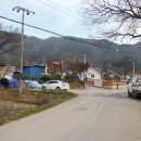 장원초교 이미지