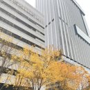 호텔야자 위례점 | 위례호텔) 편안한 분위기의 야자호텔 위례점