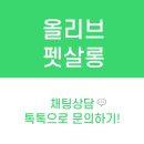 코코펫 살롱 호텔 이미지