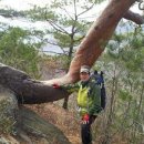 지리산 마천 백무동 한신계곡. 재경함양읍산악회가다,유림면양파축제장(7월8일산행) 이미지