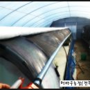 가온목장 Daum카페