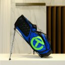 웨이브독 이미지