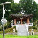 계산동 메타세콰이어 네이버블로그