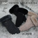 여성크로커다일 이미지