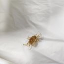 백령도 두무진 여행 인간극장 출연한 식당 해녀와사위 횟집 해산물 맛집 추천