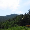 아라메길(도비산) 이미지