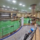 홍천종합행정 | 12월 가평/홍천 비발디파크 스노위랜드 &amp; 오션월드｜초보 스키 대신 눈썰매·워터파크로 즐기는 1박2일...