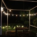 제주코기네 이미지