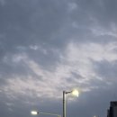 영광중앙육교게시대 | [2025.10.21] 25-26 배구 시즌 시작! 광주 AI페퍼스 개막전 관람기