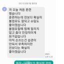 갤로핑 Daum카페