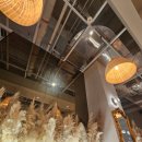 아그라 | 스타필드 안성 맛집, 1층 인도요리 아그라 솔직 방문 후기