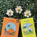 KEEP FIT | 🍋🎃 [티젠] 브이핏(V FIT) 2종 : 호박팥차 &amp; 말차레몬! 가볍고 상쾌한 여름 필수 갈증 &amp; 붓기차