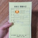 보보스명품수선