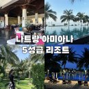 베트남 나트랑 아미아나 리조트 디럭스 가든뷰 꿀팁 솔직후기1