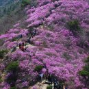 월영초등학교 이미지