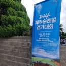 제주기독교순례길 1코스 순종의 길 | 제주기독교순례길 1코스 (금성교회 ~ 한림교회)