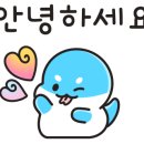 브이아이피썬팅