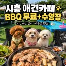블랙피그 - 시흥시 황고개로352번길 13 | [시흥/군자] 시흥 애견카페 추천! 입장료만 내면 BBQ 무료에 수영장까지? 블랙피그 시흥 솔직후기