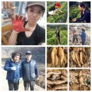 신장쇼핑몰거리 | 신장이식 공여자 5주년 일기 /공여자 건강관리일상