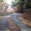 팔공산왕건길 2코스 이미지