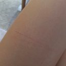 전계능쇠고기따로국밥 | 11월 몰아보기