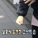 손난용