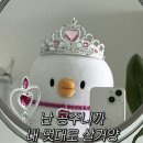 더오리 - 관악구 양녕로 66 | 더오리