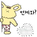 메종드마리 이미지