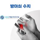 양정수지 이미지