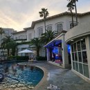 신라부분정비 | 🍊귤이와 함께 제주 신라호텔에서의 호캉스 즐기기(패밀리풀, 놀이시설, 히노데, 더 파크뷰 후기까지)