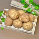 수미과일 이미지