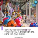 인형뽑기 이미지