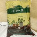 흙 | 분갈이흙5L 가든집사분갈이흙 사용후기 초보도 쉬운 화분분갈이 추천