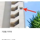 압구정 현대아파트 비밀 한가지 이미지